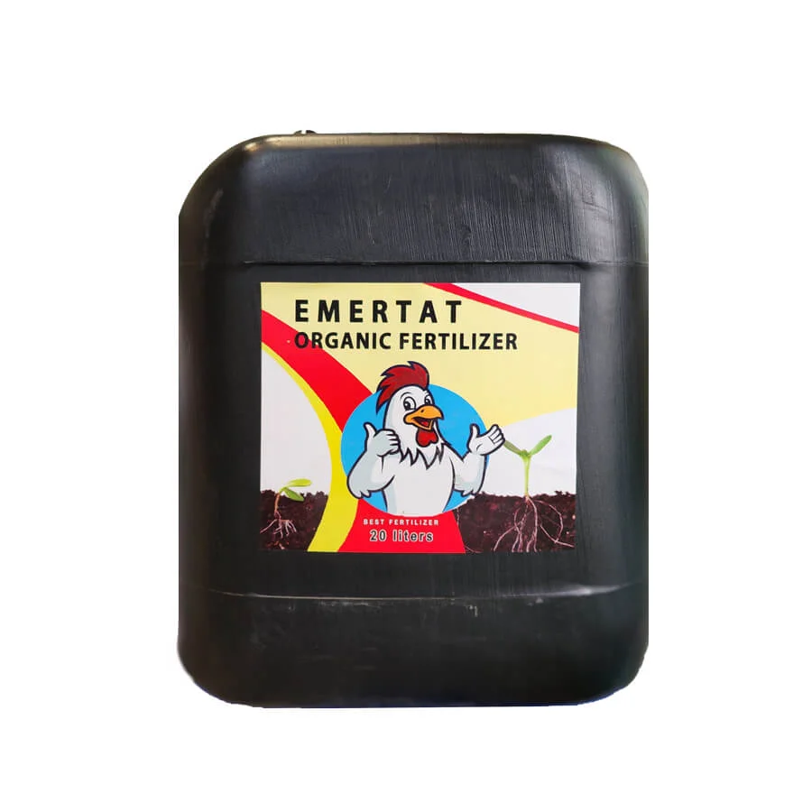 خطا در بارگذاری تصویر