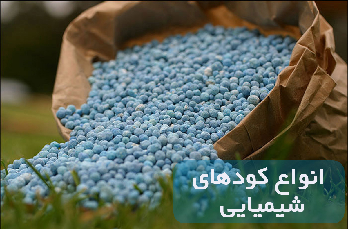خطا در بارگذاری تصویر